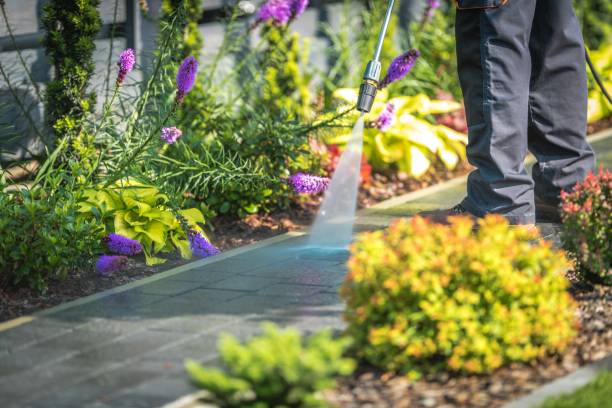 Best Fence Cleaning  in Riviera Beach, FL